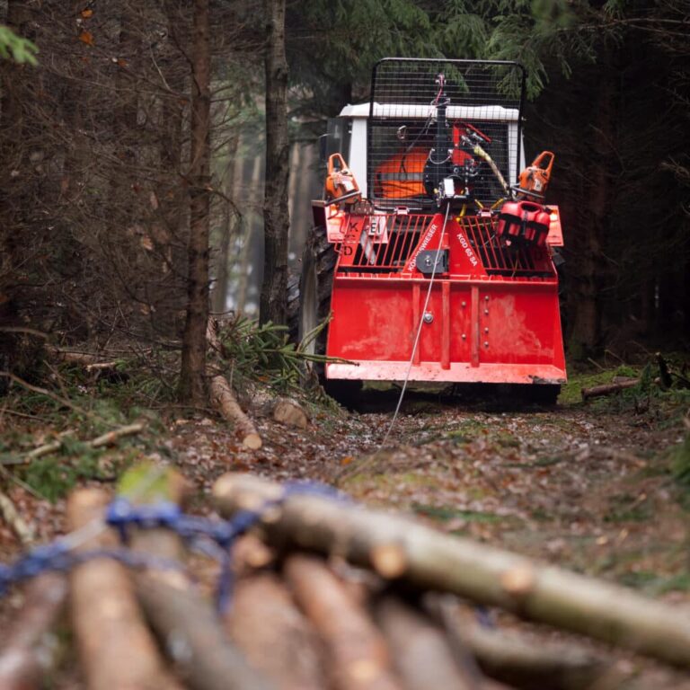 The Essentials of Blogging: Tips and Strategies for Success